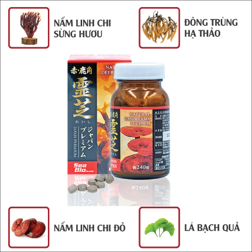 NẤM LINH CHI SỪNG HƯƠU, ĐÔNG TRÙNG HẠ THẢO- NHẬT BẢN.